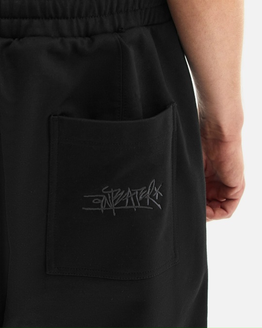 Брюки ANTEATER Baggy