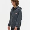 d182d0bed0bbd181d182d0bed0b2d0bad0b0-anteater-hoodie-zip-grey.jpg Толстовка ANTEATER Hoodie-Zip-Grey