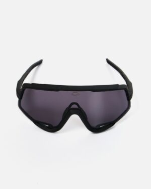d0bed187d0bad0b8-anteater-highvision-black.jpg Очки ANTEATER HighVision-Black